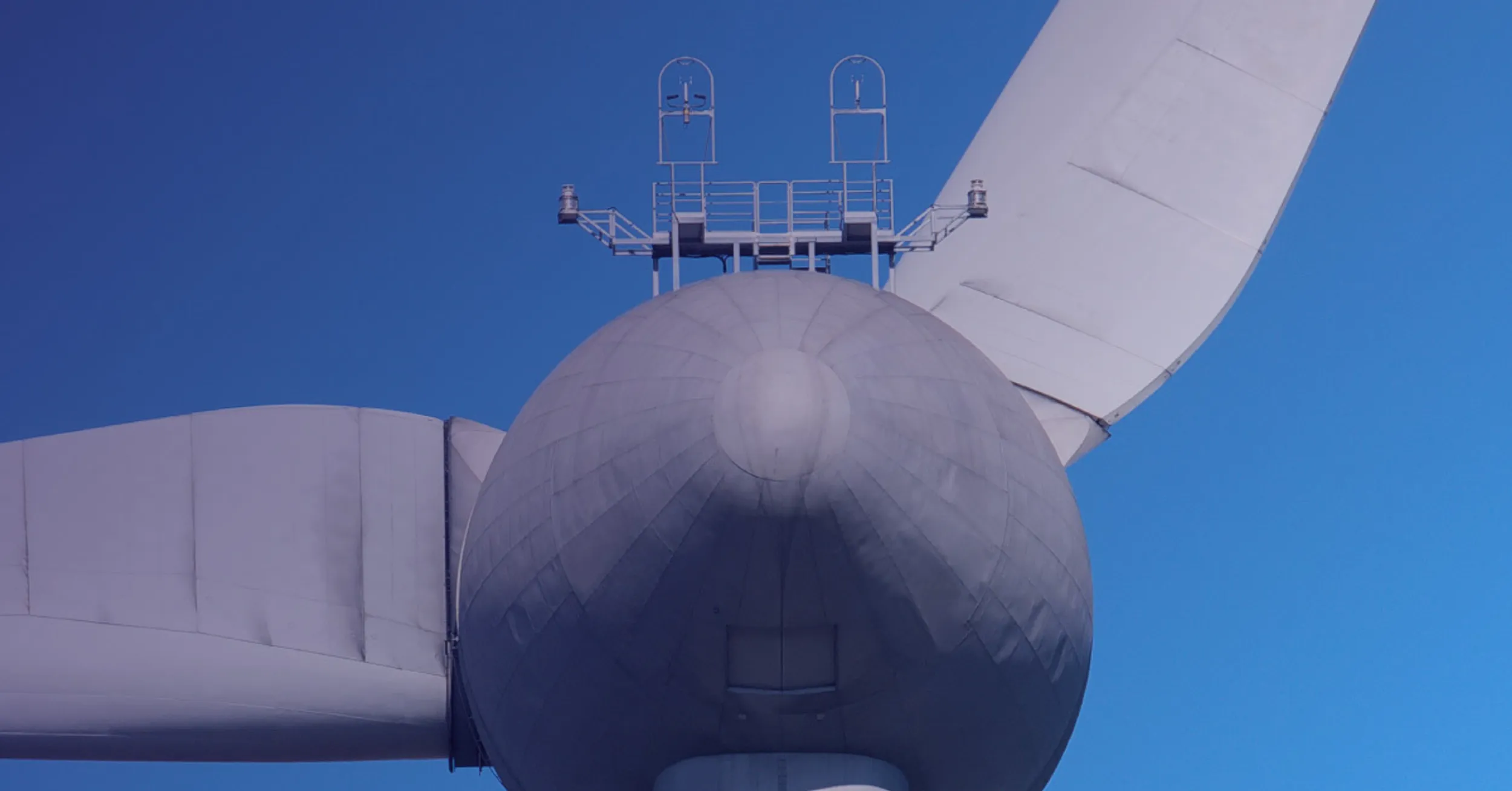 Andy Malpas TL Web Banner