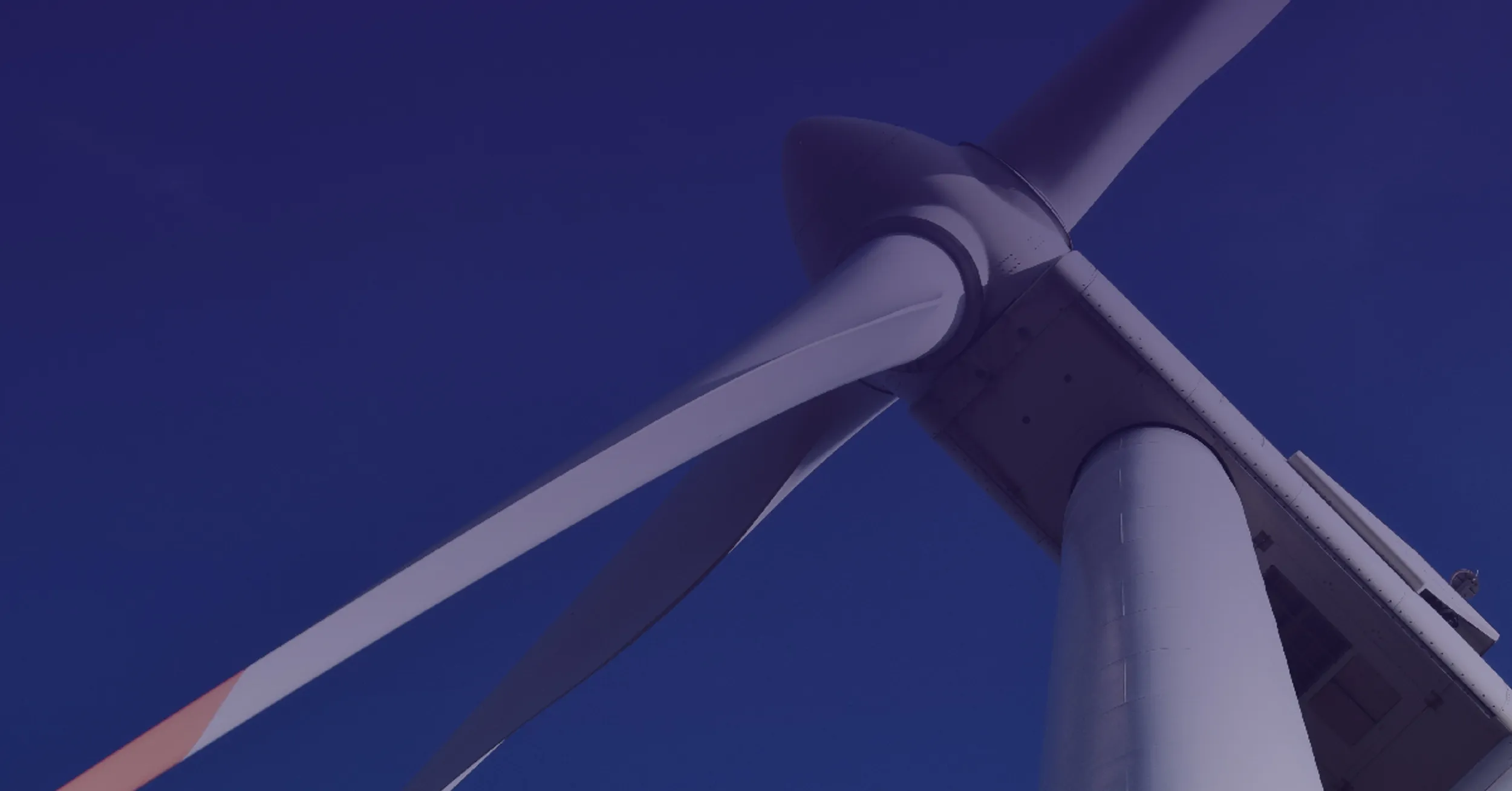 Cerianne Cummings Web Banner