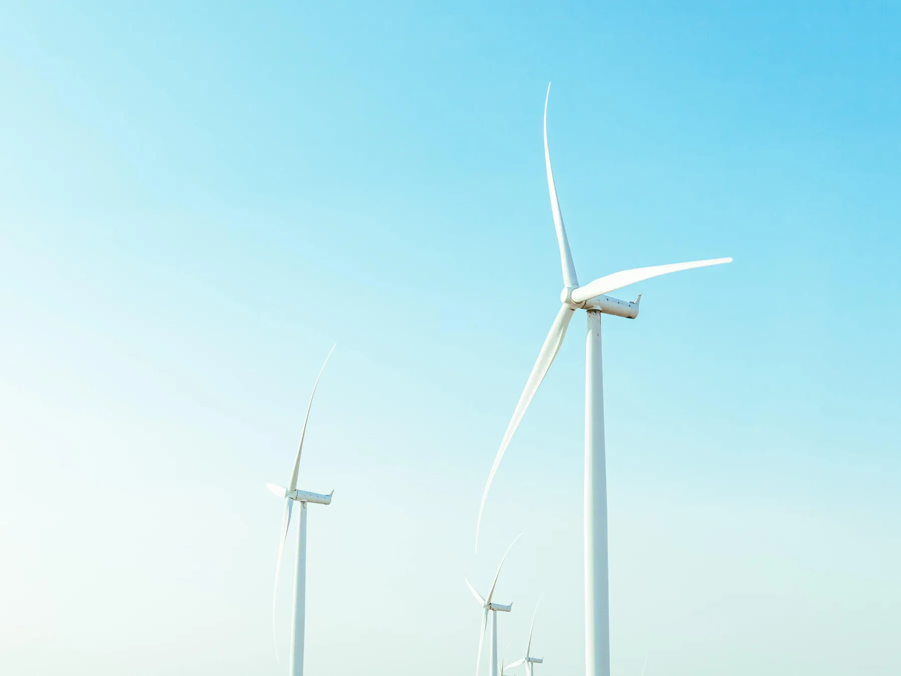 Levan badzgaradze ze pe Pgk Ljg unsplash