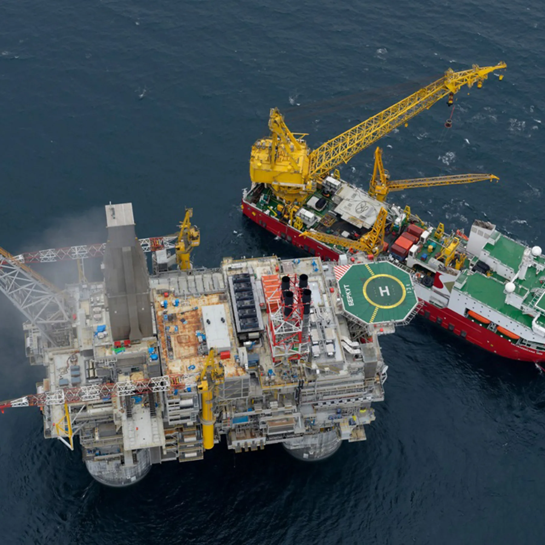 Project Berkut Platform