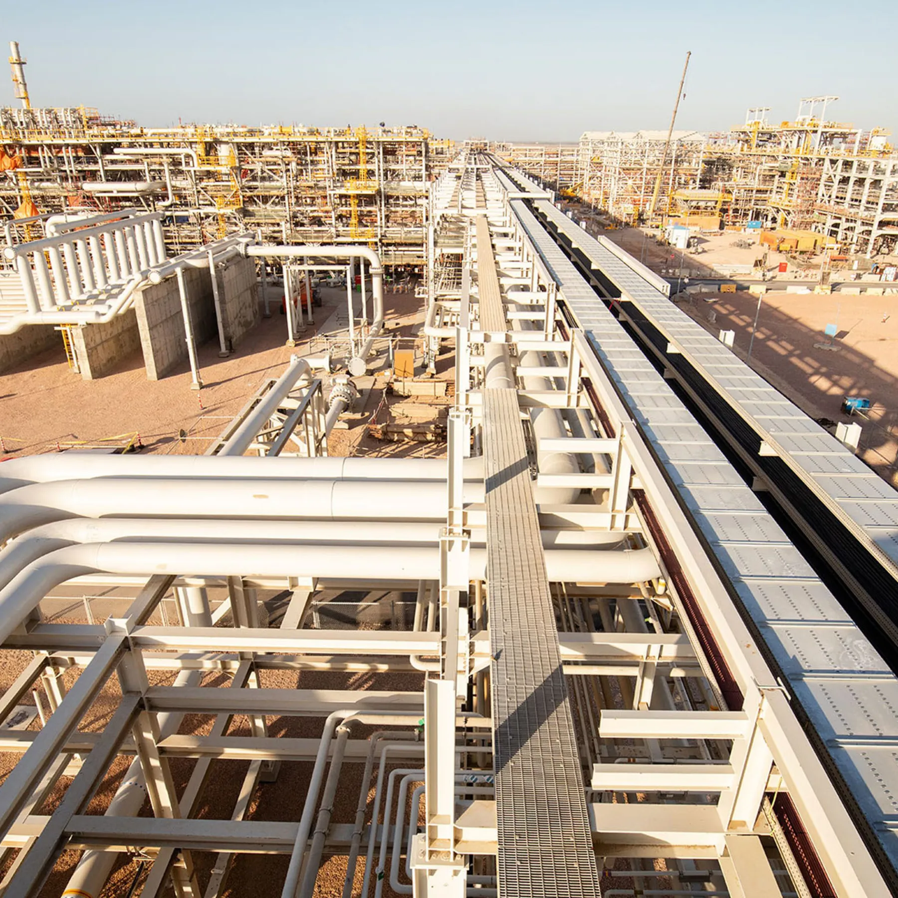 Project West Nile Delta