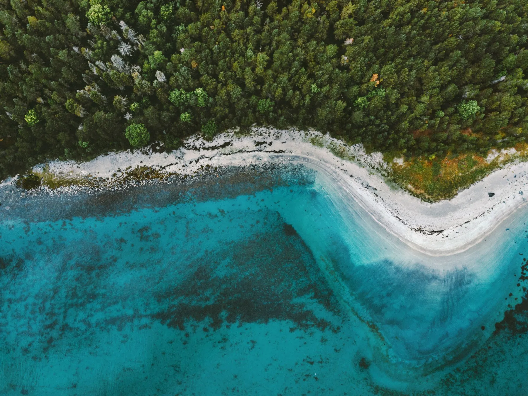 Reducing our environmental impact