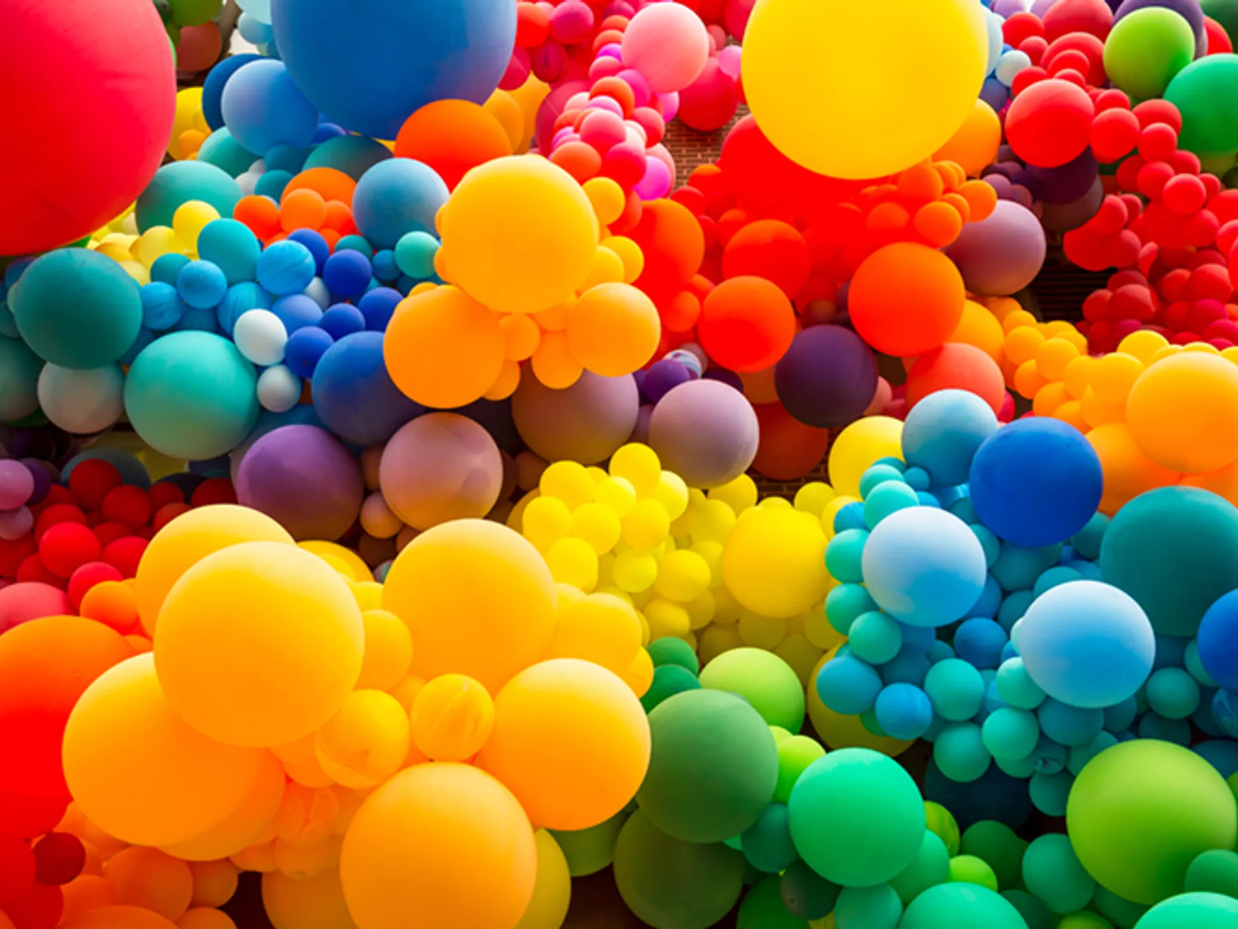 Shutterstock 1100995757