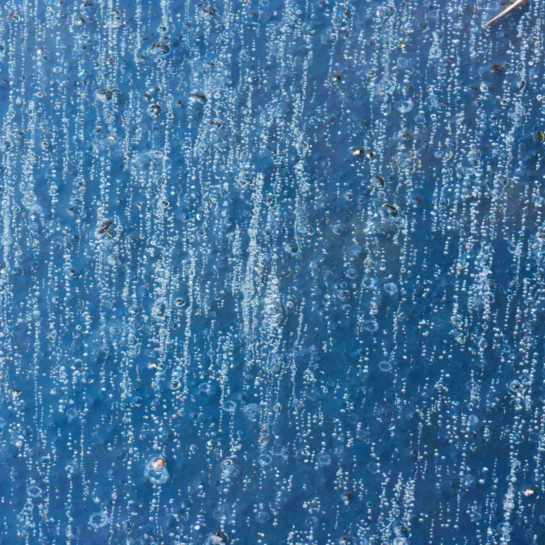 Shutterstock 1264559938 resized