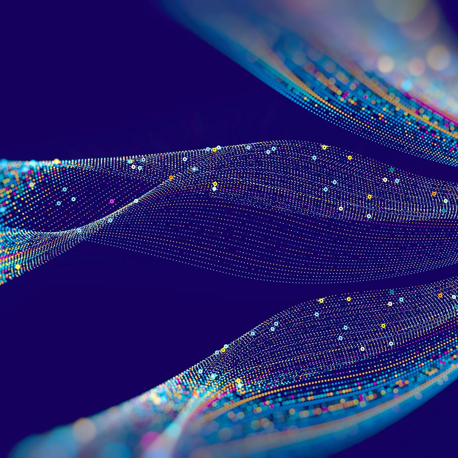 Shutterstock 1932823352 1