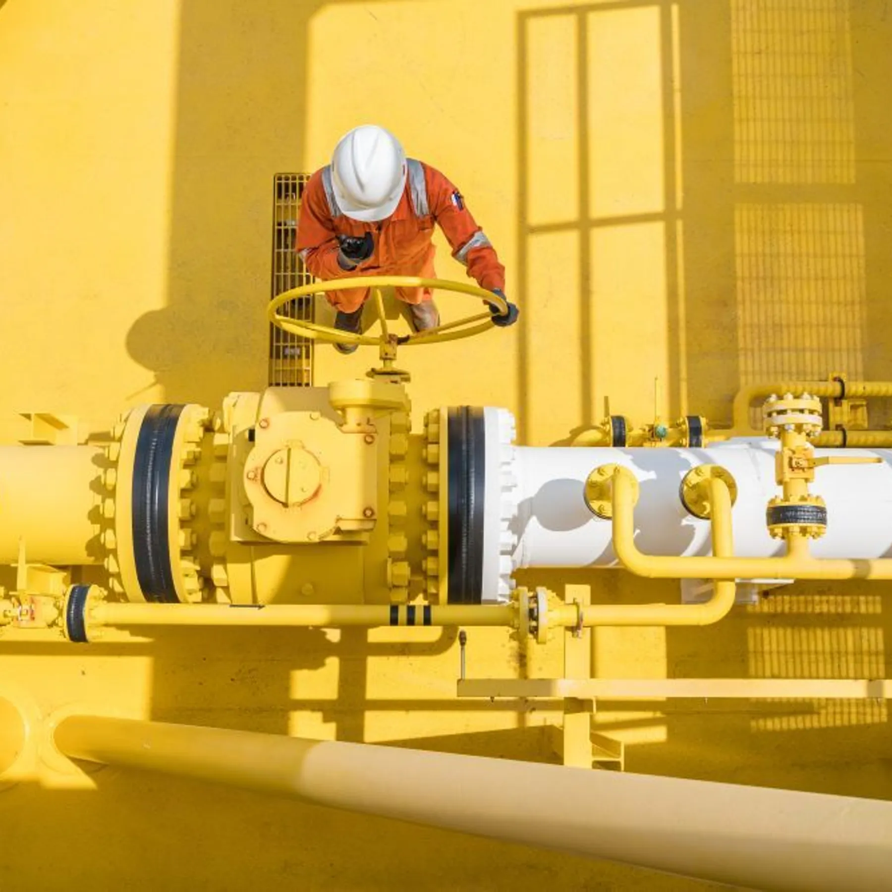 Shutterstock 796288390