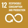 12 responsible consumption and production