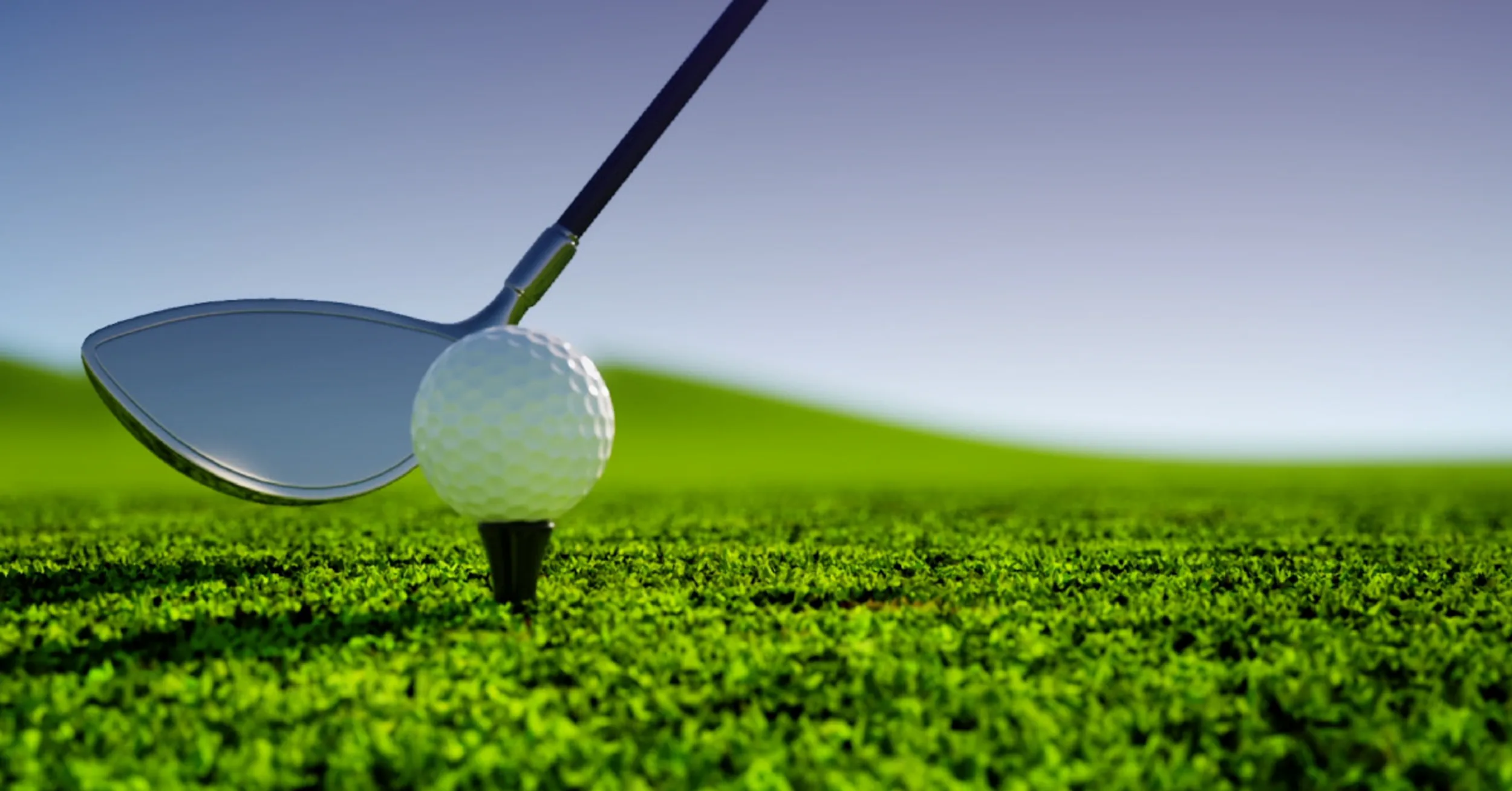 Michael Deighton Banner