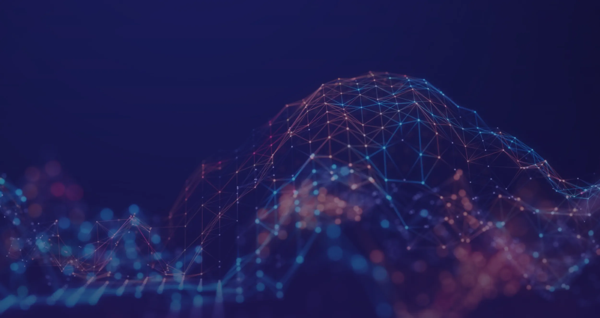 TL Shannon Flores Web Banner