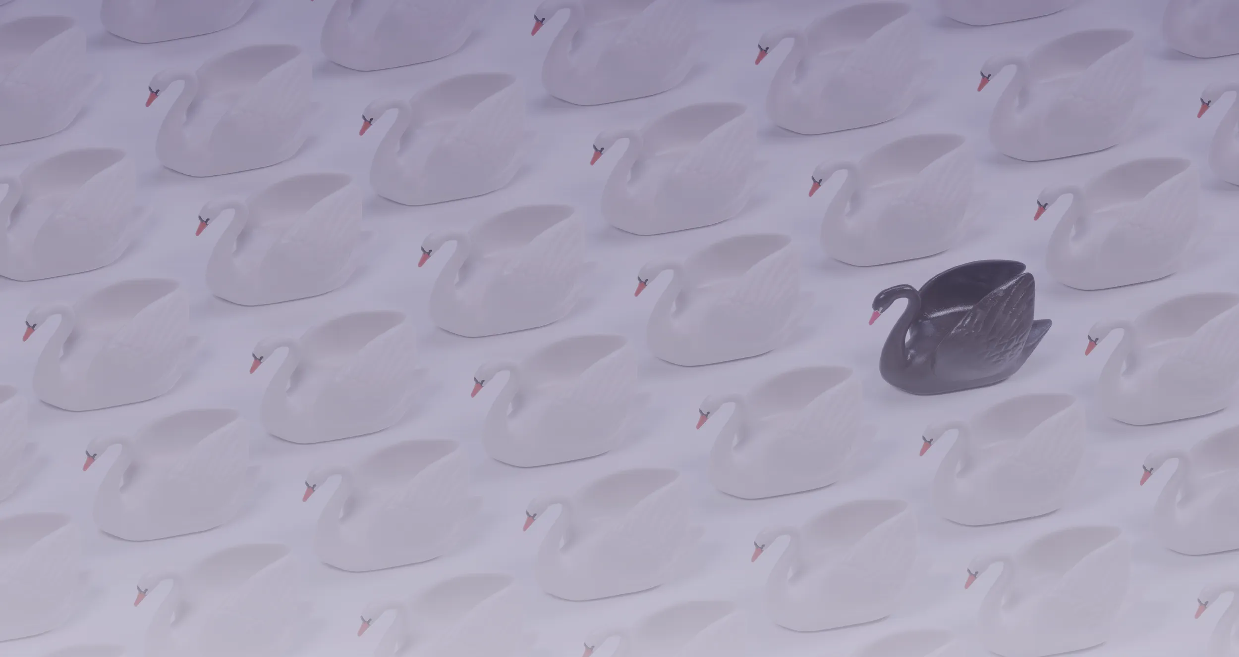 TL Will Sharpe Web Banner