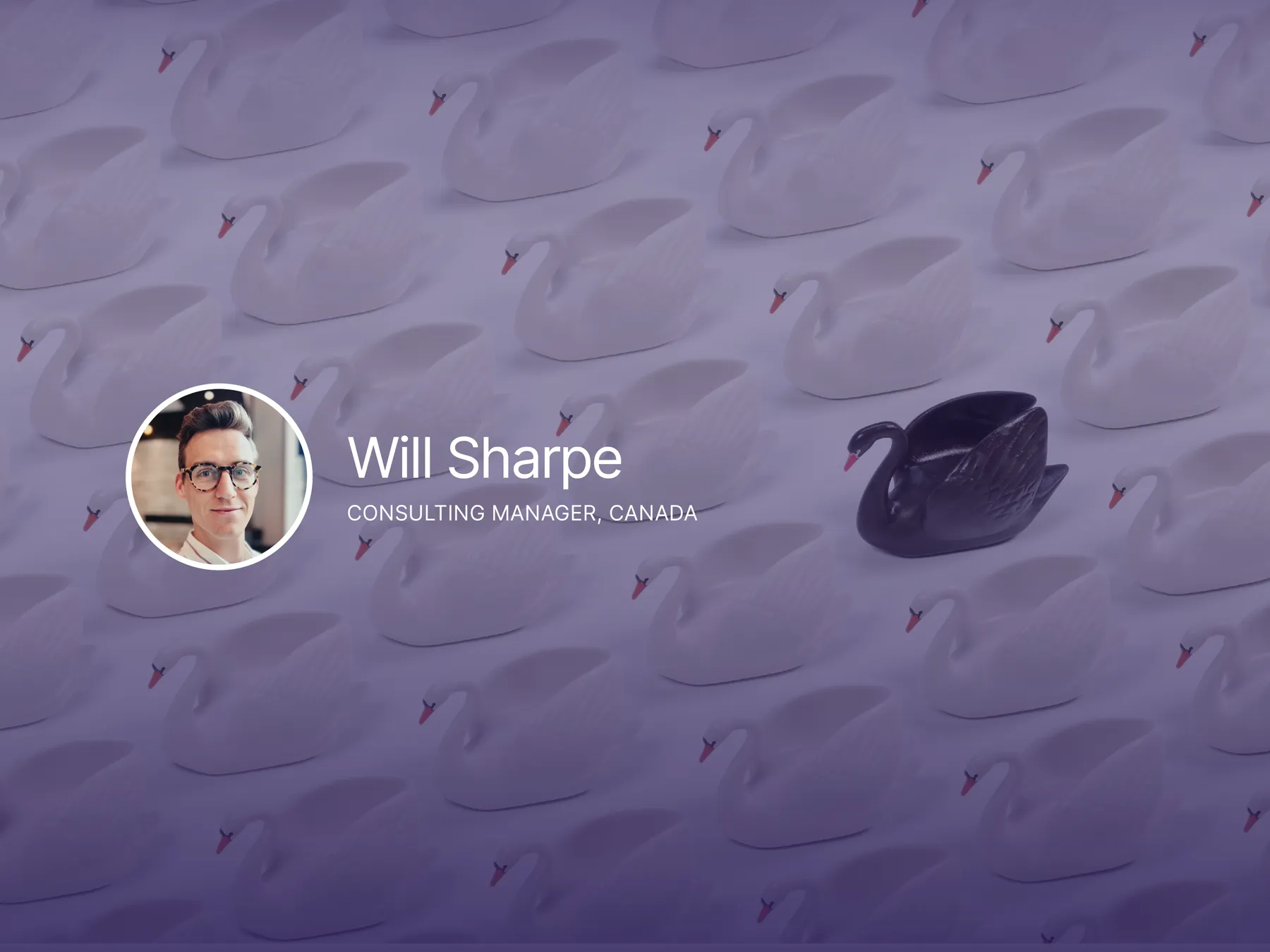 TL Will Sharpe Web Thumbnail